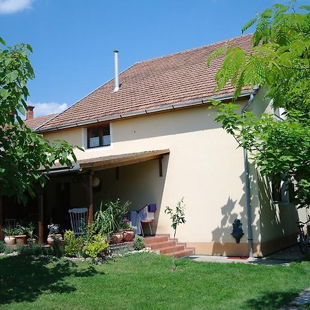 Nora Apartman Gyula Esterno foto